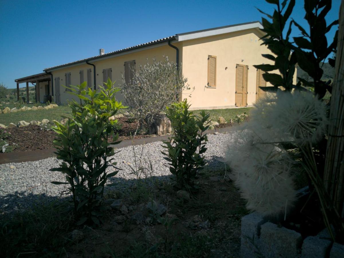 Agriturismo Casa Ricci Magliano in Toscana Exterior photo